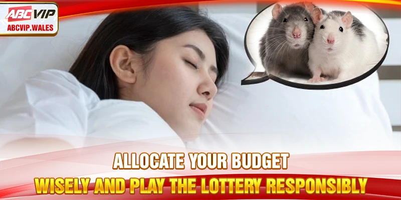 Dreaming About Mice: Omens & Lucky Numbers 11 Allocate your budget wisely and play the lottery responsibly