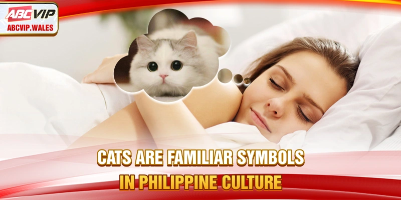 Cats are familiar symbols in Philippine culture