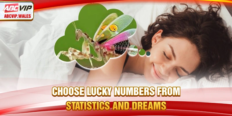 Choose lucky numbers from statistics and dreams