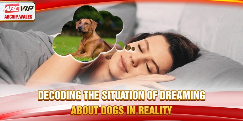 Decoding the situation of dreaming about dogs in reality