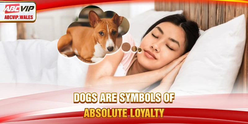 Dogs are symbols of absolute loyalty