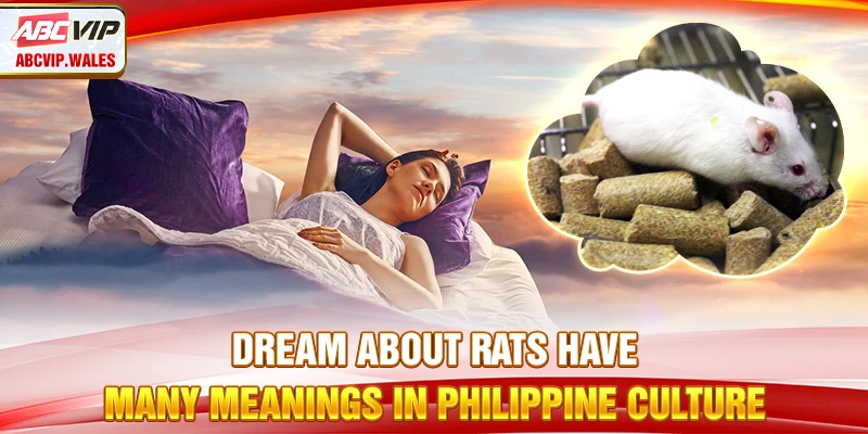 Dreaming About Mice: Omens & Lucky Numbers 7 Dreaming about rats have many meanings in Philippine culture