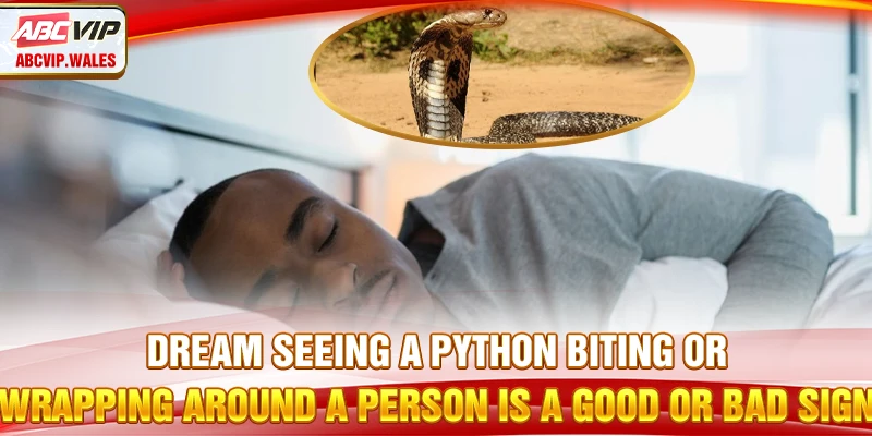 Dreaming About Philippine Snakes – Omens & Corresponding Numbers 8 Dreaming see a python biting or wrapping around a person is a good or bad sign