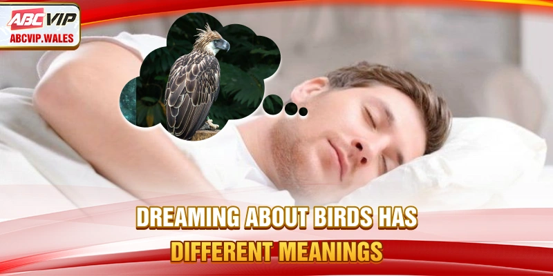 Dream about birds has different meanings