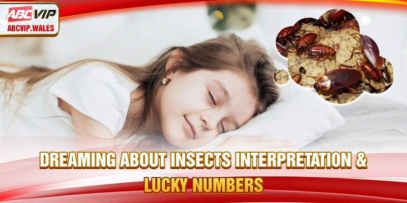 Dreaming About Insects – Interpretation And Lucky Numbers