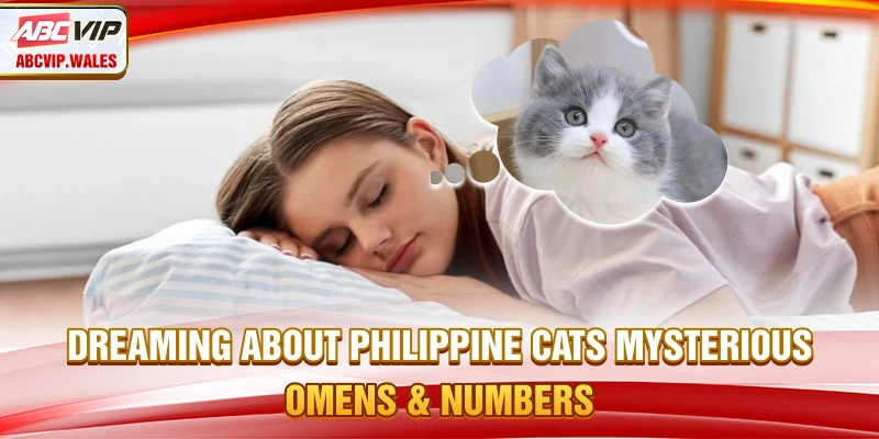 Dreaming About Cats – Mysterious Omens And Numbers