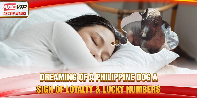 Dream About Dog – A Sign of Loyalty & Lucky Numbers