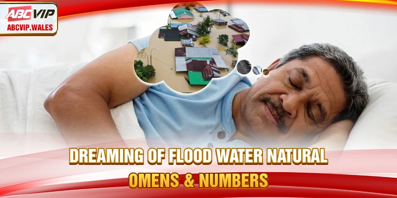 Dreaming of Flood Water – Natural Omens And Numbers