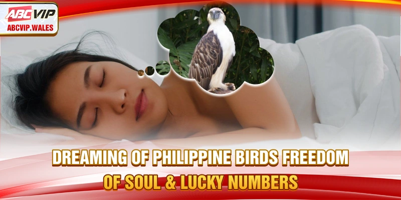 Dream About Birds – Freedom of Soul & Lucky Numbers