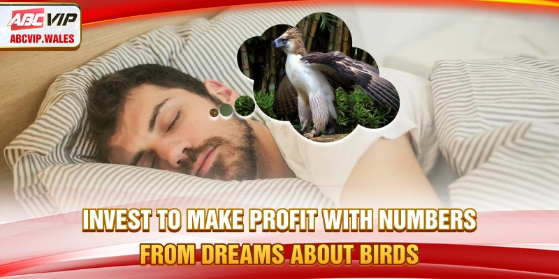 Invest to make profit with numbers from dreams about birds