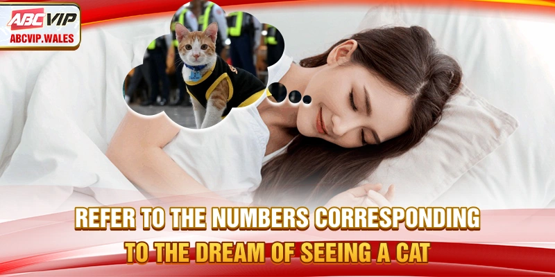 Refer to the numbers corresponding to the dream of seeing a cat