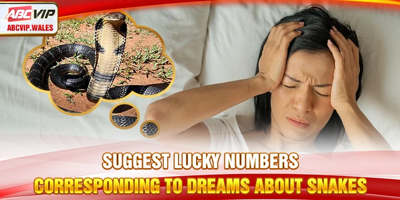 Dreaming About Philippine Snakes – Omens & Corresponding Numbers 9 Suggest lucky umbers corresponding to dreams about snakes