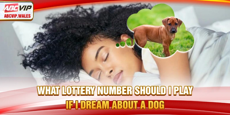 What lottery number should I play if I dream about a dog?